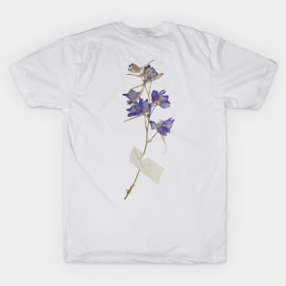 Dried Beautiful Flower T-Shirt